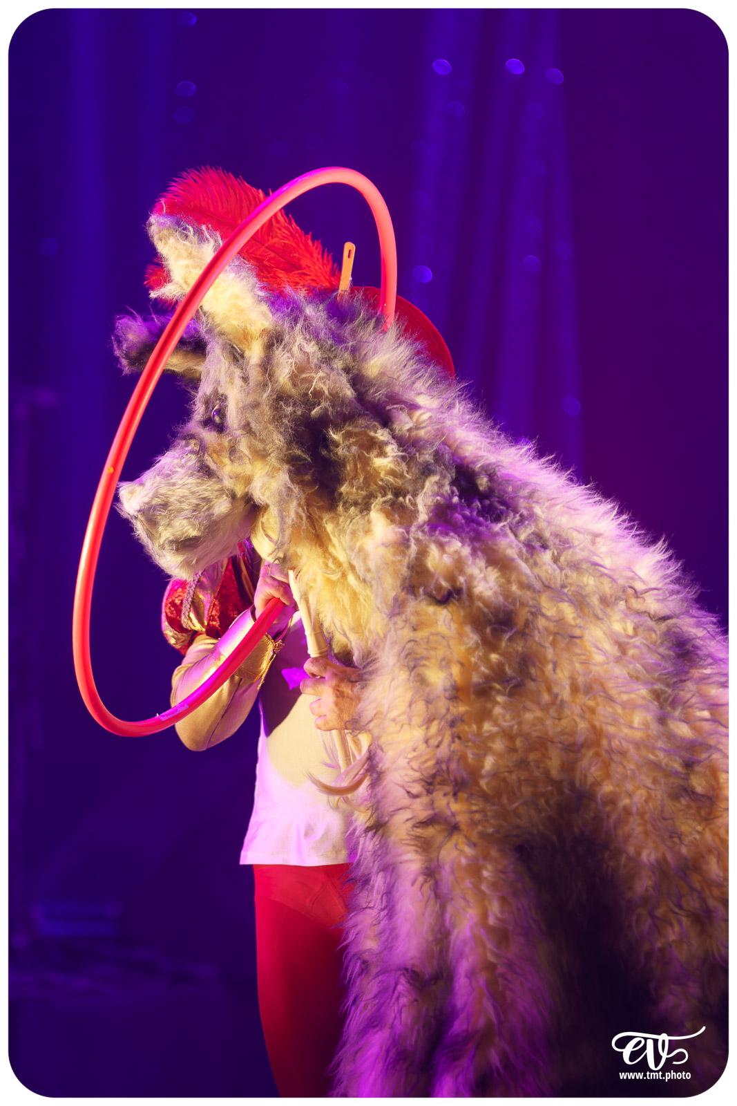 PLEIN FEU (CIE AVRIL EN SEPTEMBRE)